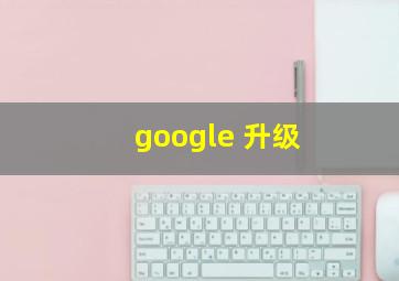 google 升级